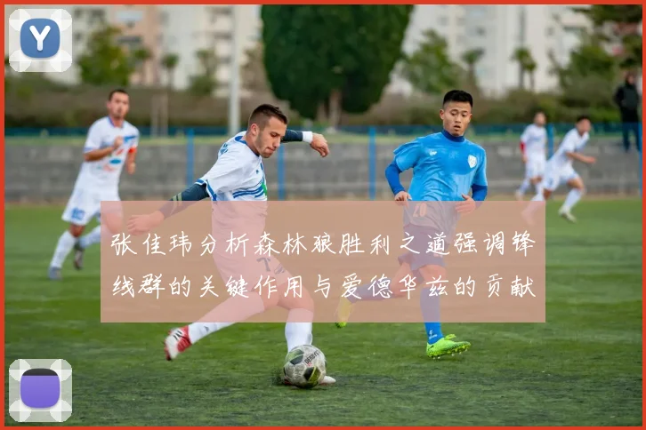 张佳玮分析森林狼胜利之道强调锋线群的关键作用与爱德华兹的贡献